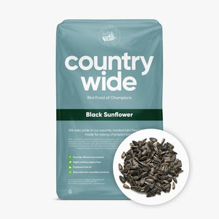 Countrywide Black Sunflower Seeds 13kg