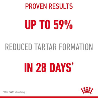 Royal Canin FCN Dental Care