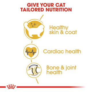 Royal Canin FBN Ragdoll