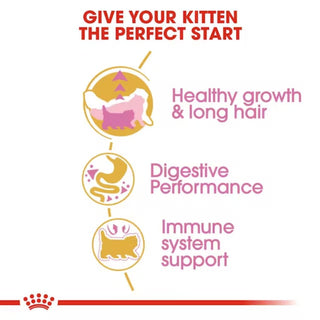 Royal Canin FBN Persian Kitten