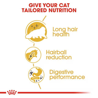 Royal Canin FBN Persian