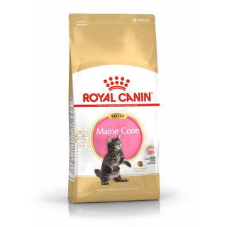 Royal Canin FBN Maine Coon Kitten