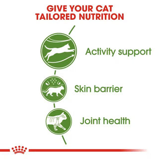 Royal Canin FHN Outdoor