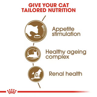 Royal Canin FHN Ageing 12+