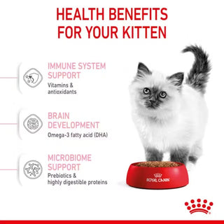 Royal Canin FHN Kitten
