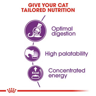 Royal Canin FHN Sensible