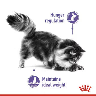 Royal Canin FCN Appetite Control Care