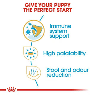 Royal Canin BHN Chihuahua Puppy