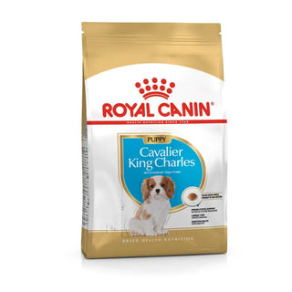 Royal Canin BHN Cavalier King Charles Puppy