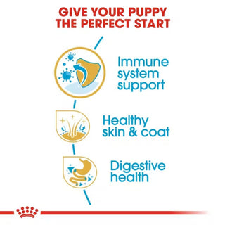 Royal Canin BHN Shih Tzu Puppy