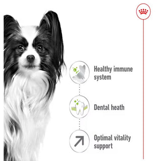 Royal Canin SHN X-Small Adult 8+