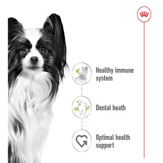 Royal Canin SHN X-Small Adult