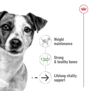 Royal Canin SHN Mini Ageing 12+