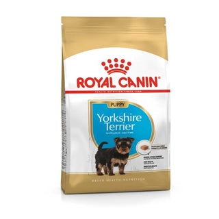 Royal Canin BHN Yorkshire Terrier Puppy