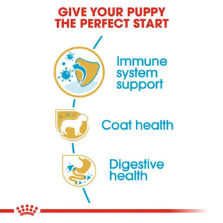 Royal Canin BHN Yorkshire Terrier Puppy