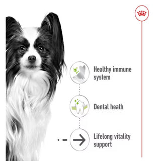 Royal Canin SHN X-Small Ageing 12+