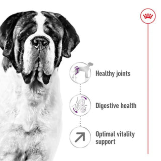 Royal Canin SHN Giant Adult