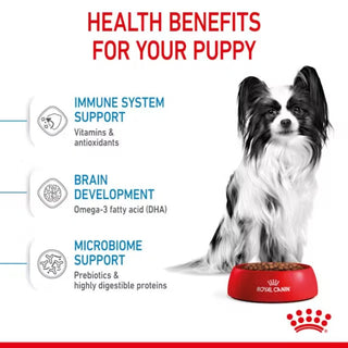 Royal Canin SHN X-Small Puppy