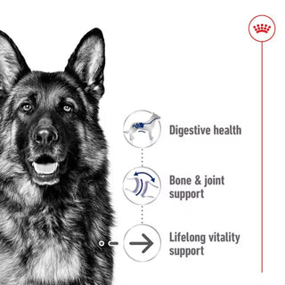 Royal Canin SHN Maxi Ageing 8+