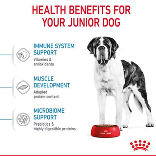 Royal Canin SHN Giant Junior