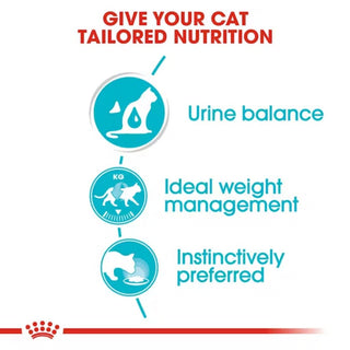 Royal Canin Feline Care Urinary In Gravy
