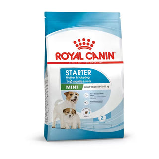 Royal Canin SHN Mini Starter Mother & Babydog