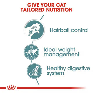 Royal Canin Feline Care Hairball In Gravy