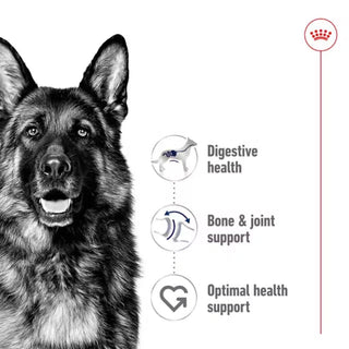 Royal Canin SHN Maxi Adult Loaf In Can