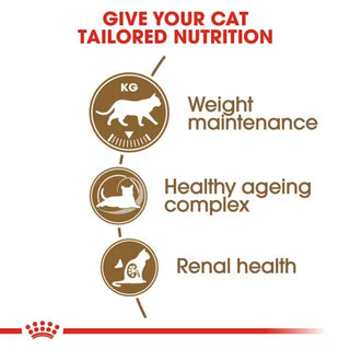 Royal Canin FHN Ageing Sterilised