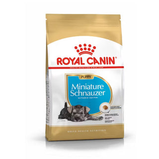 Royal Canin BHN Miniature Schnauzer Puppy