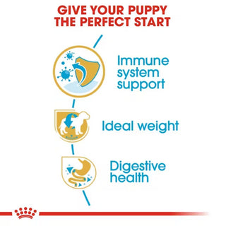 Royal Canin BHN Miniature Schnauzer Puppy