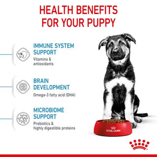 Royal Canin SHN Maxi Puppy