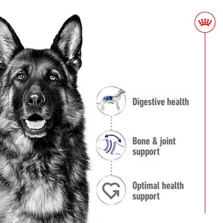Royal Canin SHN Maxi Adult