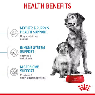 Royal Canin SHN Medium Starter Mother & Babydog