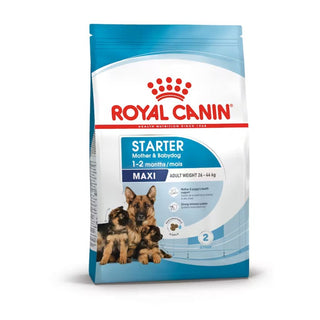 Royal Canin SHN Maxi Starter Mother & Babydog