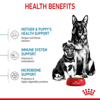 Royal Canin SHN Maxi Starter Mother & Babydog