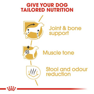 Royal Canin BHN Dachshund