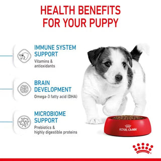 Royal Canin SHN Mini Puppy