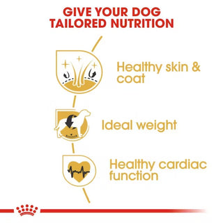 Royal Canin BHN Cocker