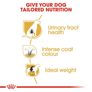 Royal Canin BHN Miniature Schnauzer