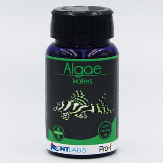 NT Labs Pro-f Algae Wafers