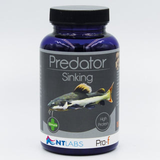 NT Labs Pro-f Predator Sinking