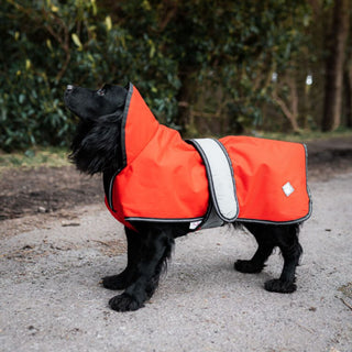 Danish Design Orange 2 in 1 Ultimate Dog Coat