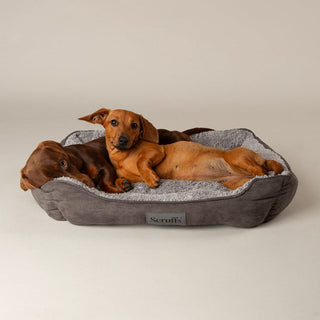 Scruffs Cosy Box Bed