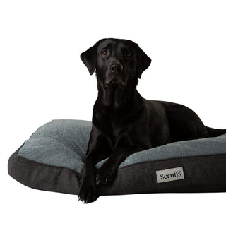 Scruffs Harvard Memory Foam Orthopaedic Mattress