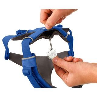 Ruffwear Front Range Harness Blue Pool