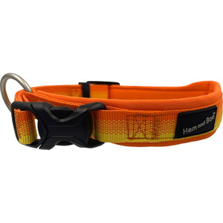 Hem & Boo Sports Pro Lite Collar