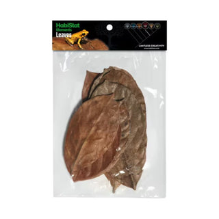Habistat Jackfruit Leaves