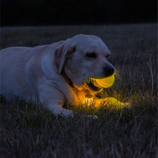 Rechargable LED Ball Yellow