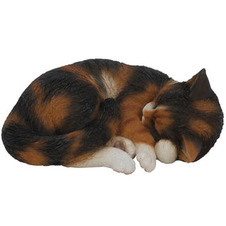Vivid Arts Sleeping Cat Tortoiseshell